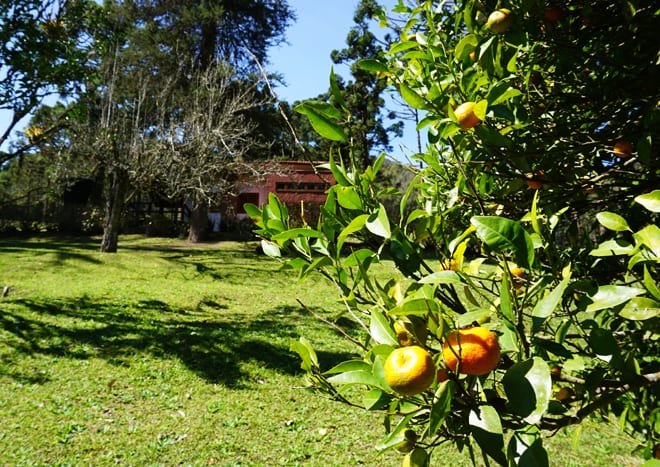 Pousada Barra do Bie Cunha