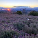 Próxima viagem: 7 cidades próximas a São Paulo para conhecer Lavandario de Cunha