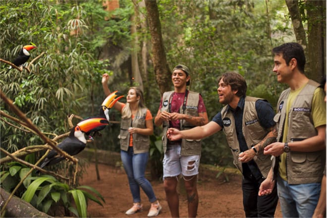 Backstage Experience no Parque das Aves