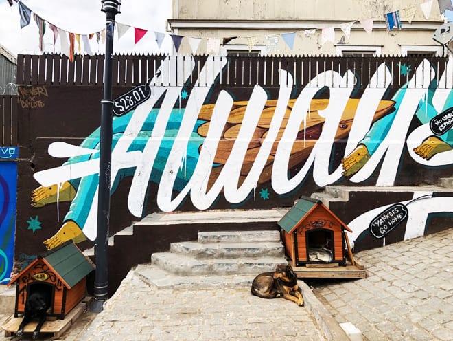 Grafites e cachorros pelas ruas de Valparaiso