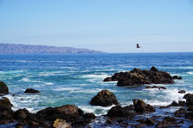 Vina del Mar