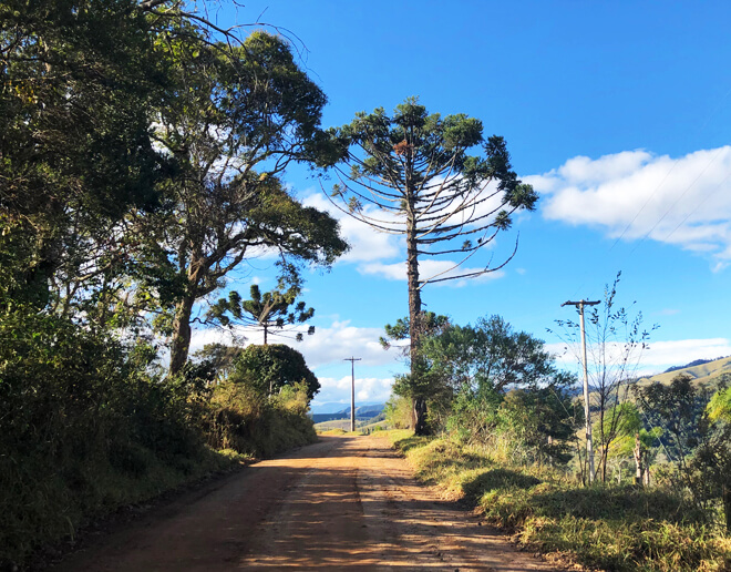 Estrada Real - Caminho do Ouro - Cunha