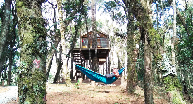 airbnb cabana casa na arvore