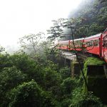 Relato de viagem: 8 cidades próximas de Curitiba para conhecer trem para Morretes
