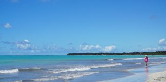 Próxima viagem: Passeios em Maceió – 8 opções para fazer da cidade! Praia de Ipioca