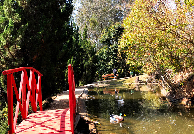 Jardins dos Pinhais Ecco Parque