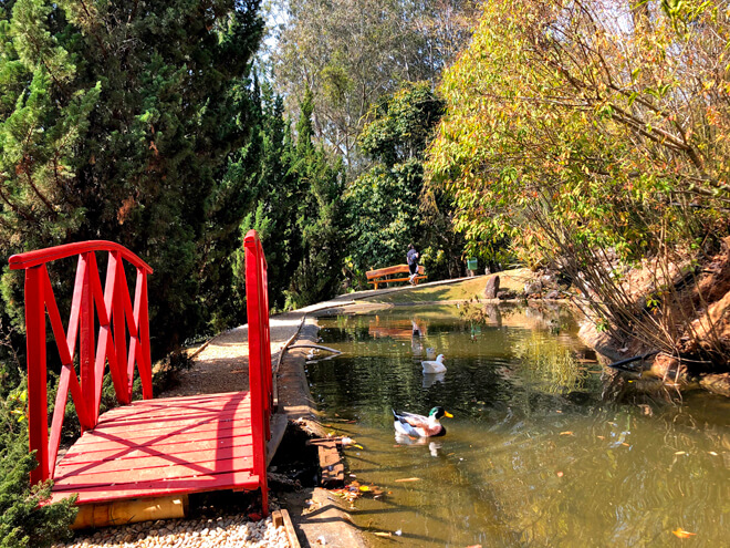 Jardins dos Pinhais Ecco Parque