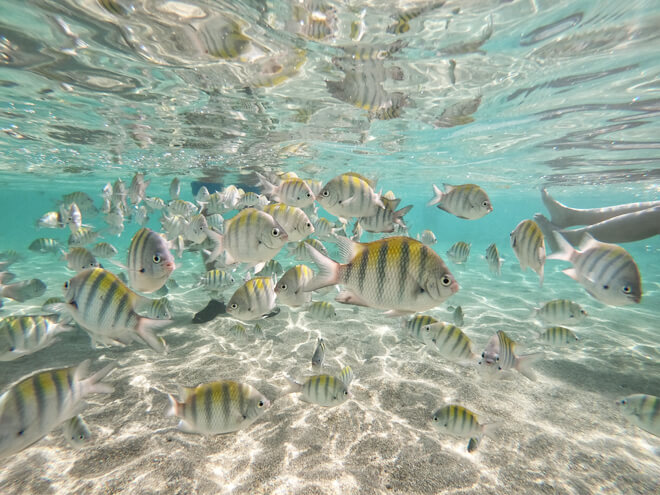 Piscina natural de São Miguel dos Milagres