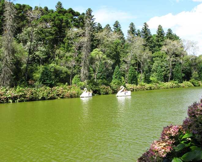 Lago Negro Gramado