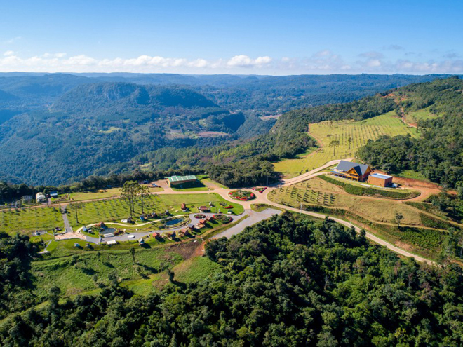 Olivas de Gramado