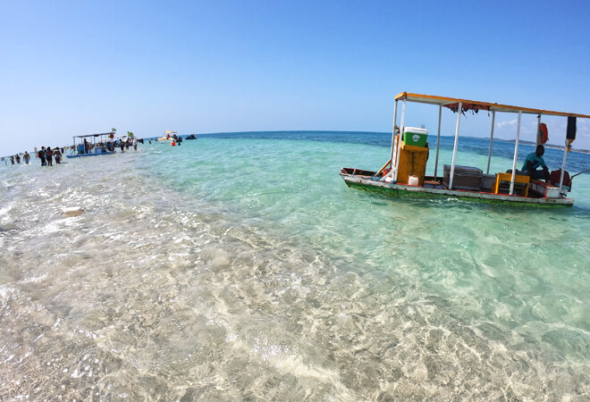 Passeio de Barco em Barra Grande, Maragogi