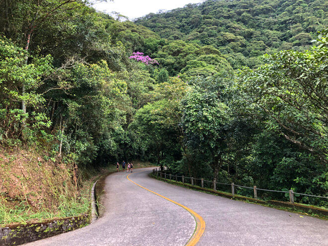 Parque Caminhos do Mar