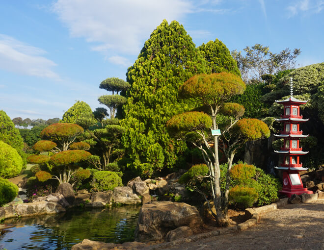 Jardim Japones parque Maeda