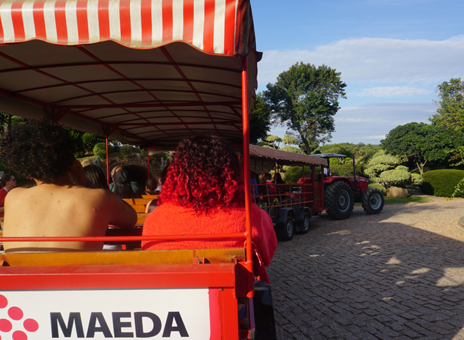 Trenzinho parque maeda