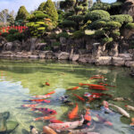 Relato de viagem: Parque Maeda em Itu – Veja todas as dicas para visitar! parque maeda em itu