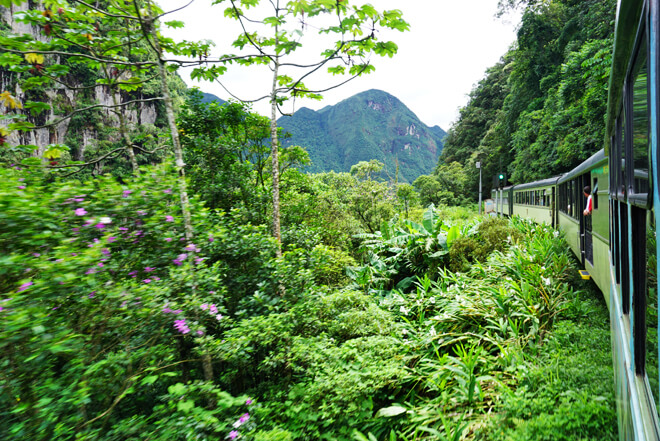 Passeio de Trem Morretes