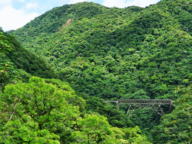 Ponte Sao Joao - Trem Morretes