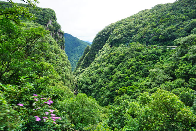 Serra do Mar - Trem Morretes