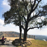 Relato de Viagem: O que fazer em Espírito Santo do Pinhal – 10 Melhores Atrações e Passeios Vinícola Merum em Espírito Santo do Pinhal