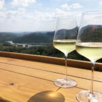 Viajante Gourmet: Melhores Vinícolas em Espírito Santo do Pinhal para conhecer Vinícola em Espírito Santo do Pinhal - Merum